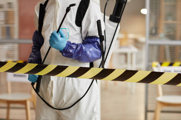 Professional Blood Cleanup technician working in Cedar Creek, TX